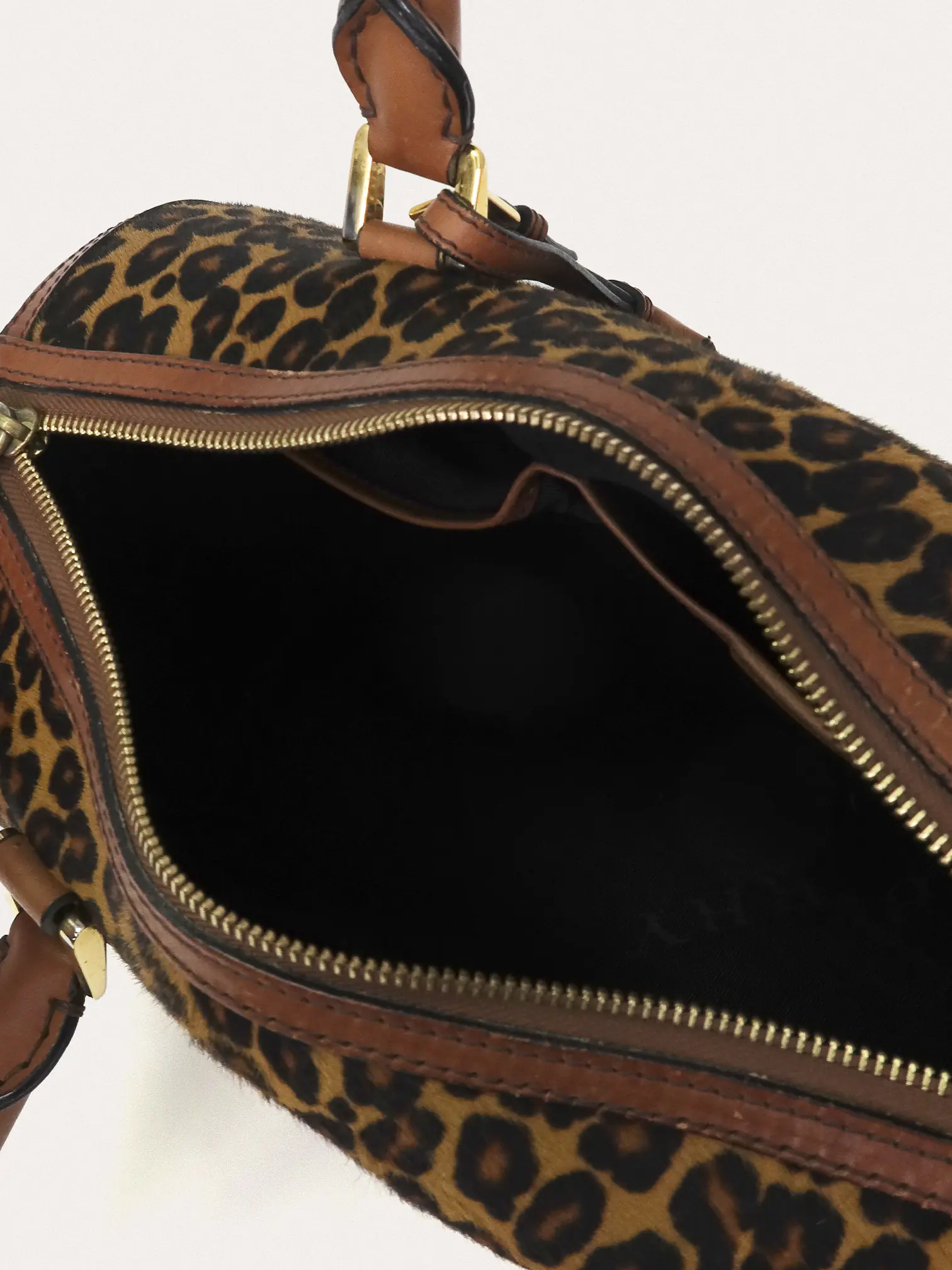 Alchester Leopard - Master