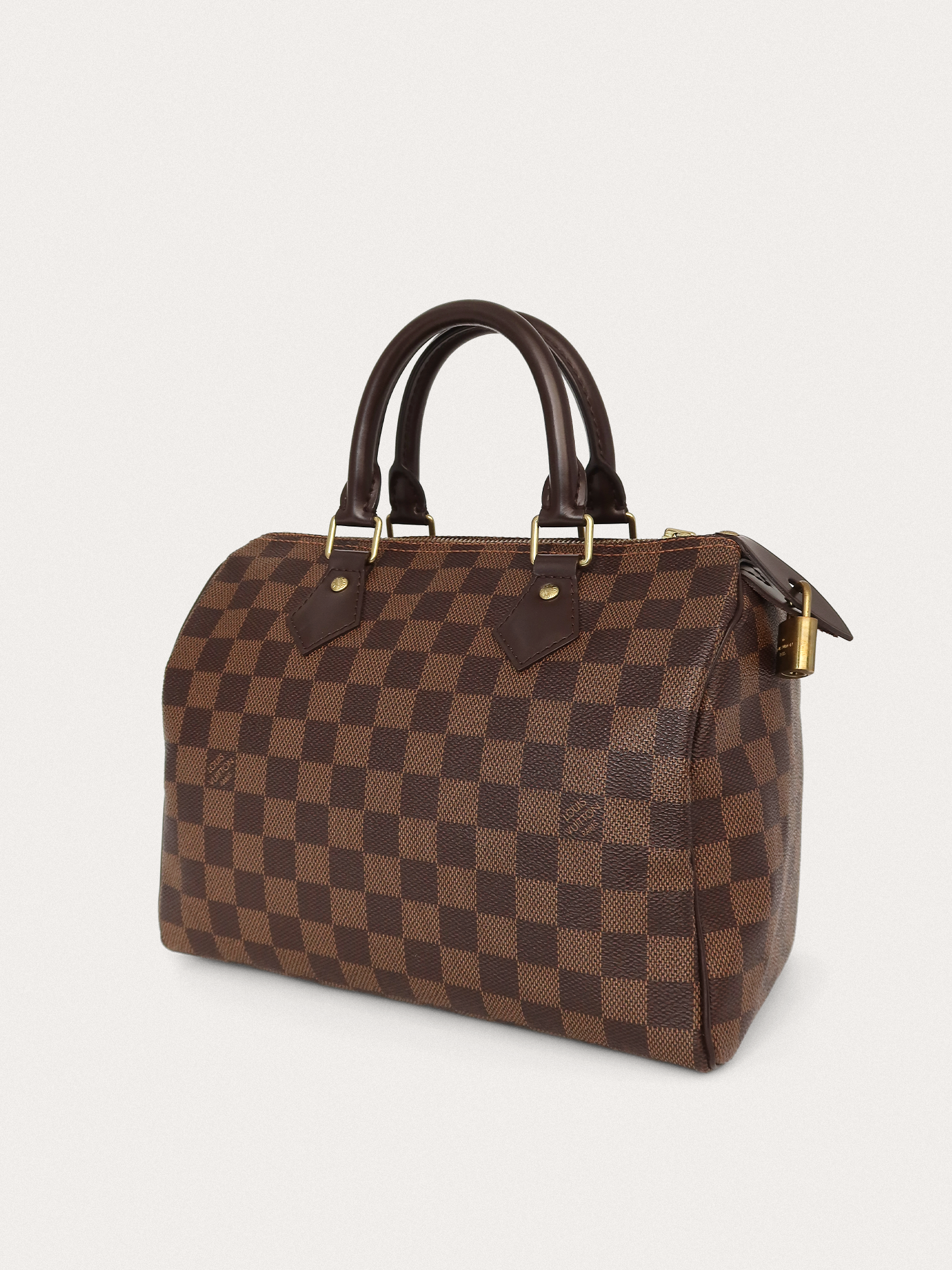 Louis Vuitton Speedy 25 - Master