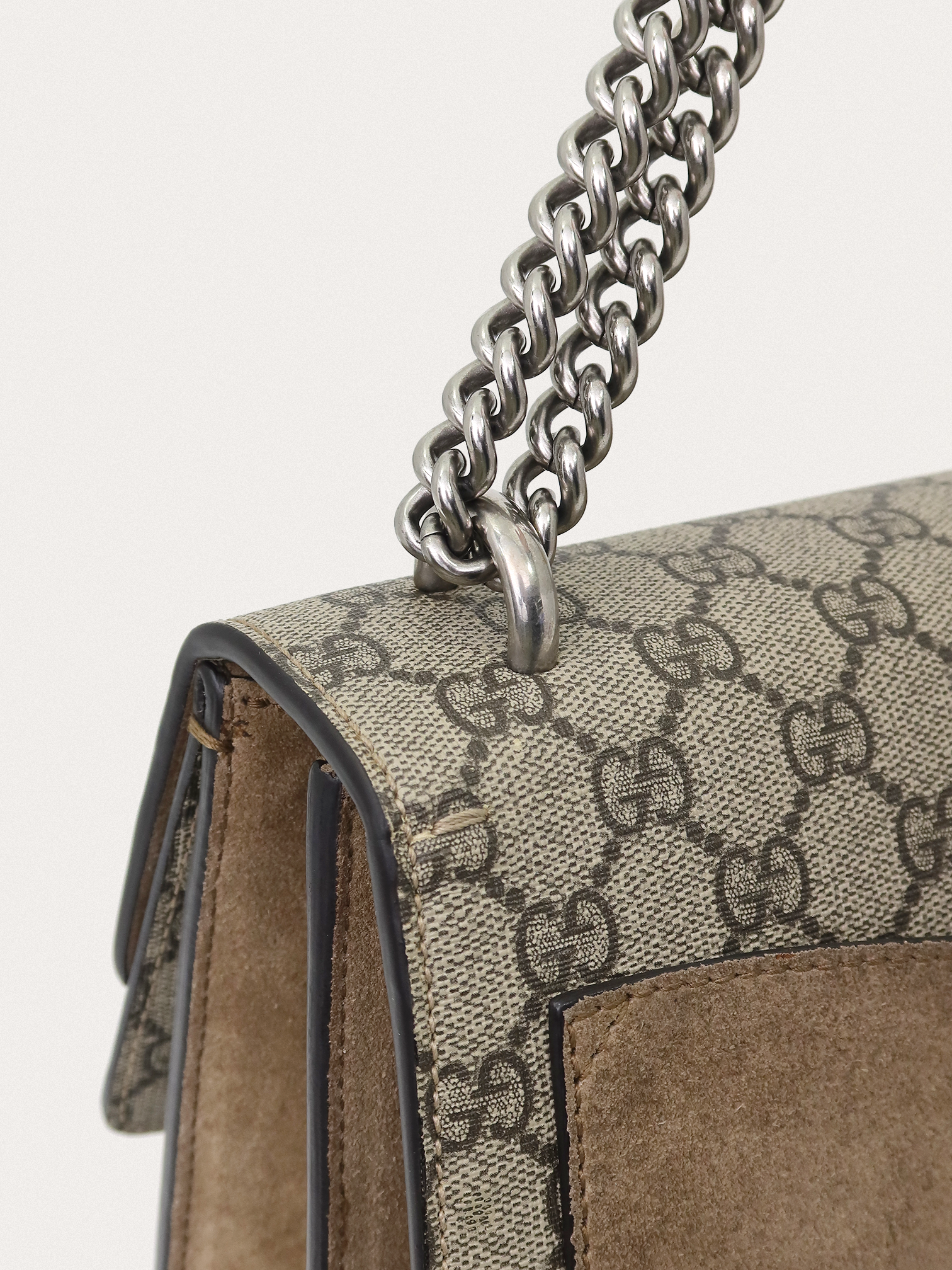 Gucci Dionysus medium - Master