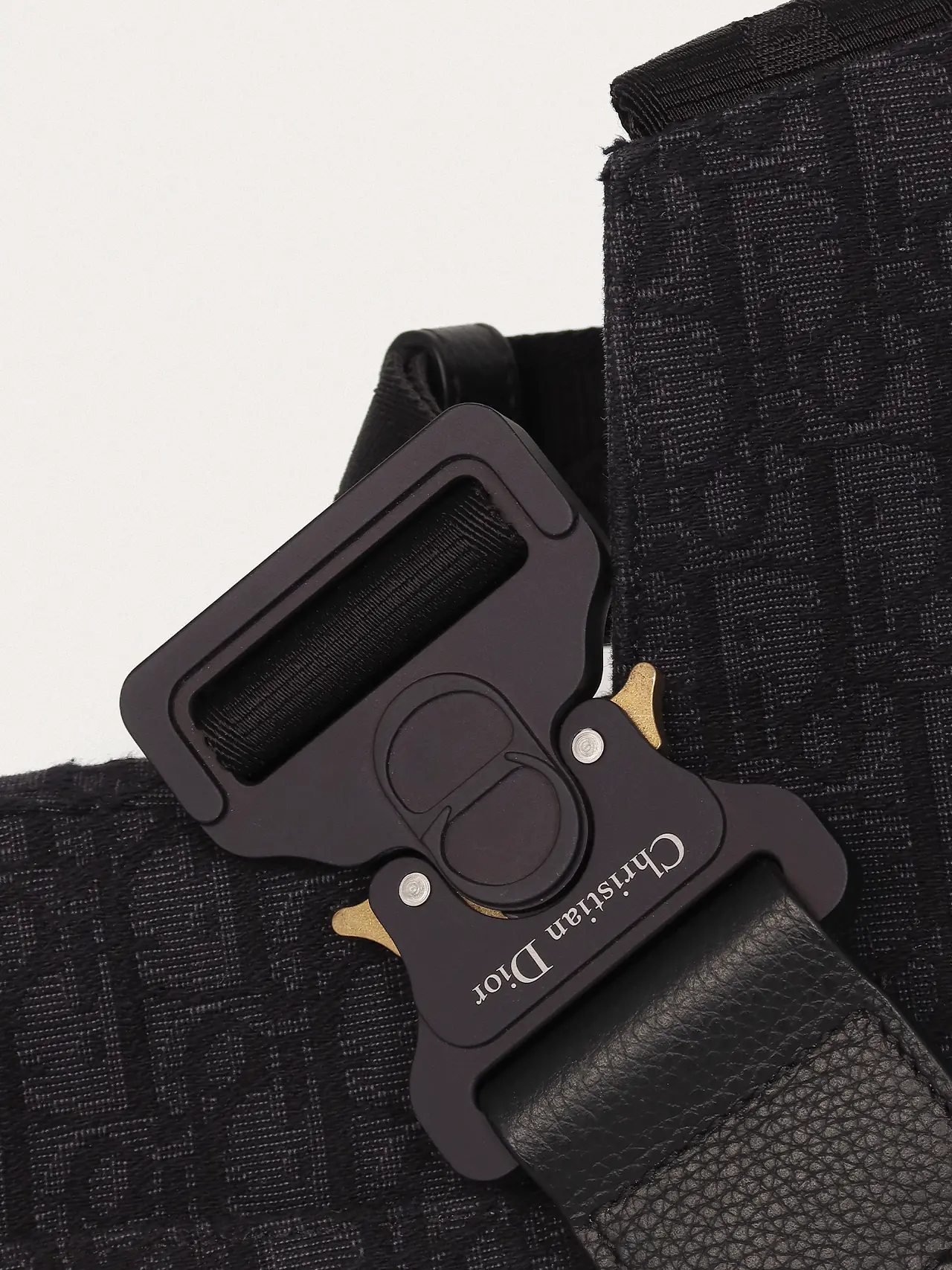 Christian Dior Saddle - Master