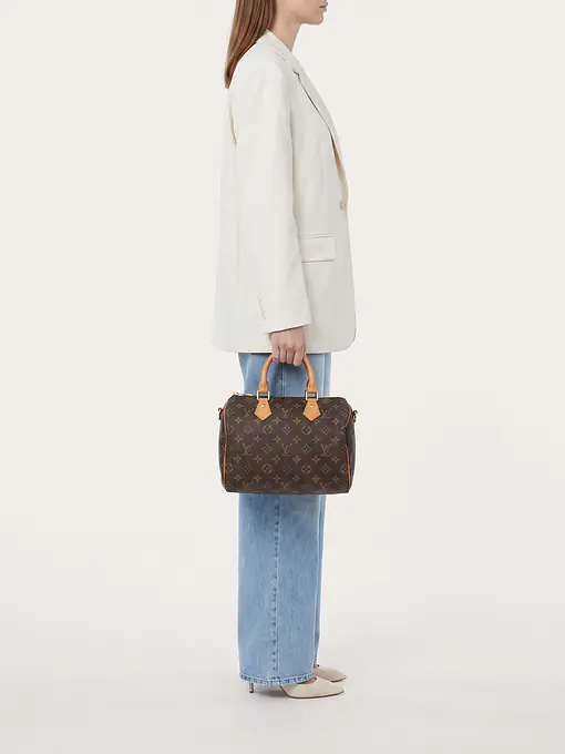 Louis Vuitton Speedy 25 - Master