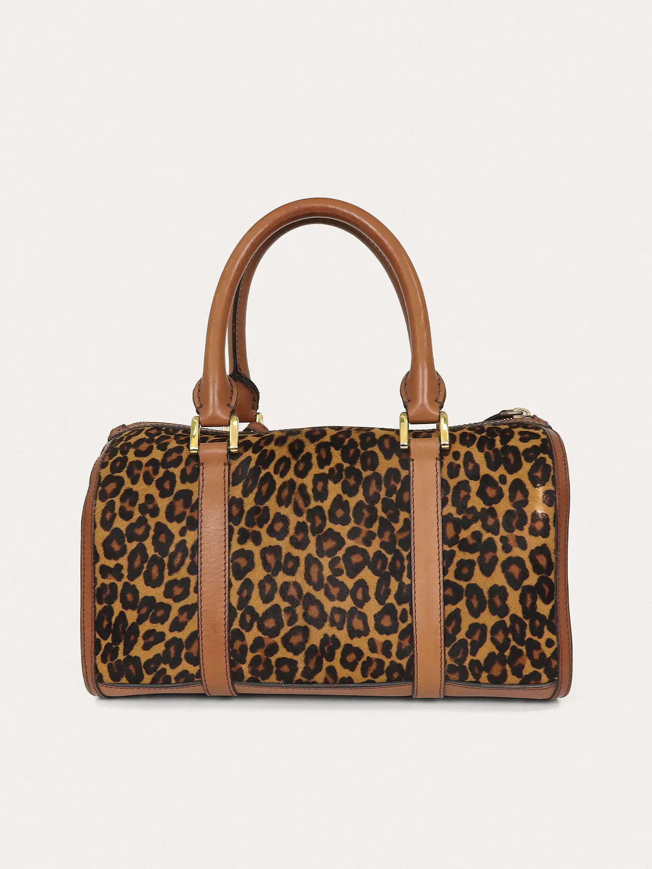 Alchester Leopard - Master