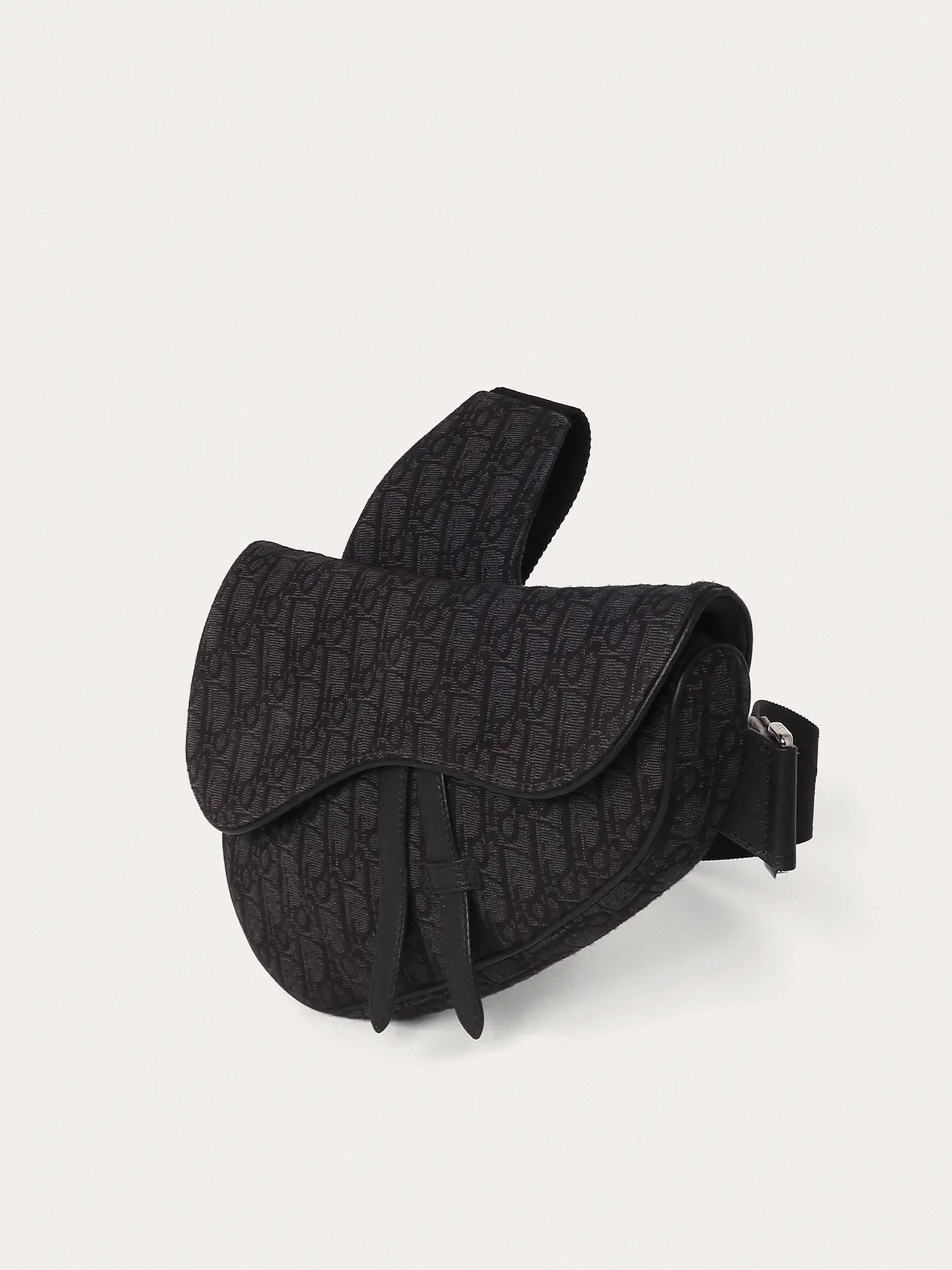 Christian Dior Saddle - Master