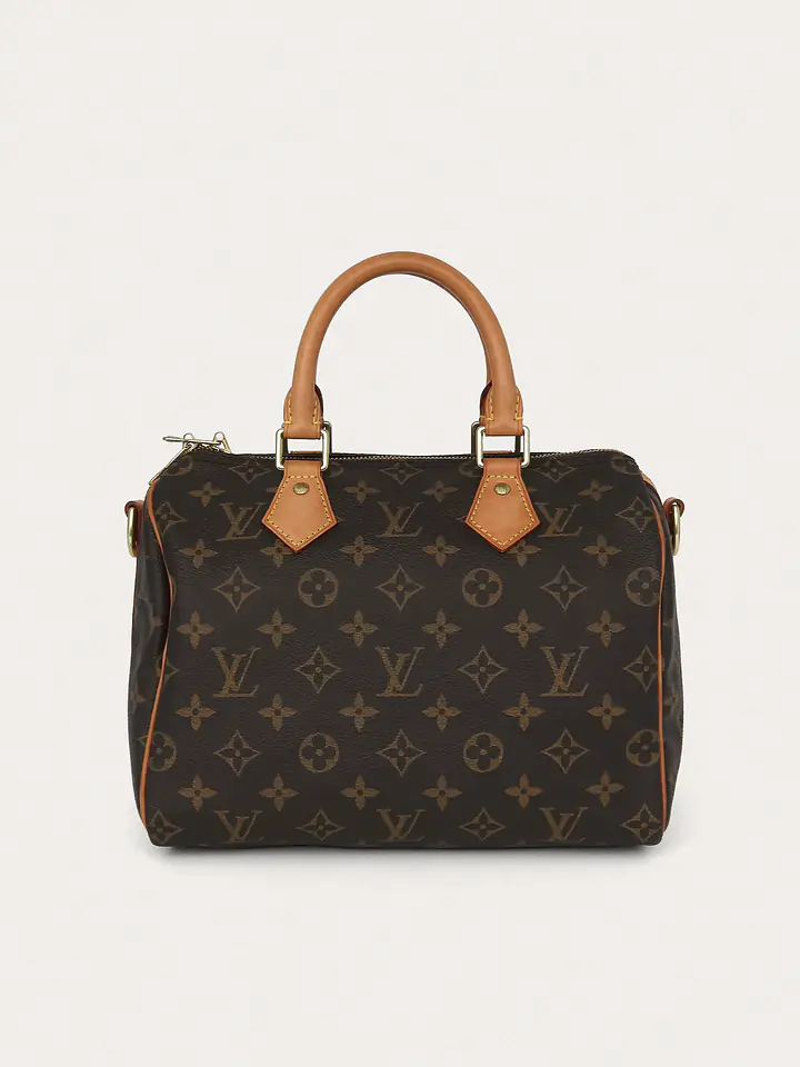 Louis Vuitton Speedy 25 primary image