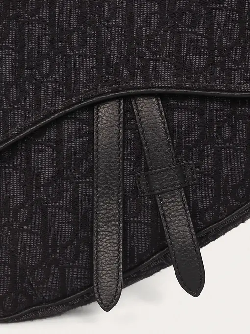 Christian Dior Saddle - Master