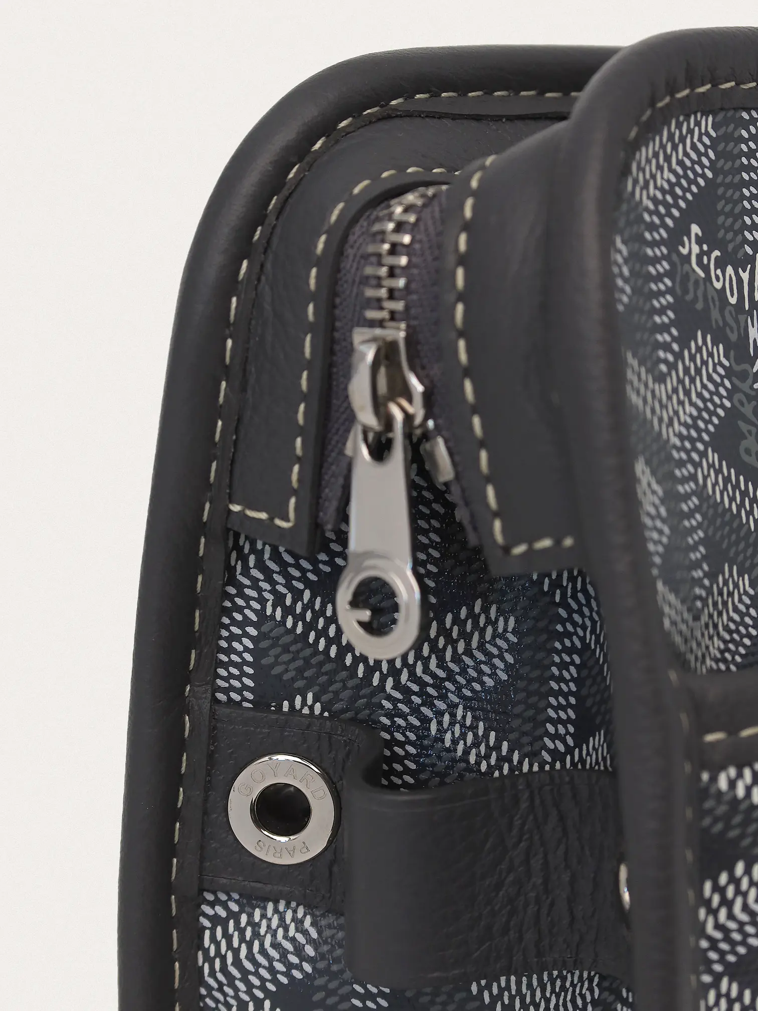 Goyard Jouvence MM - Master