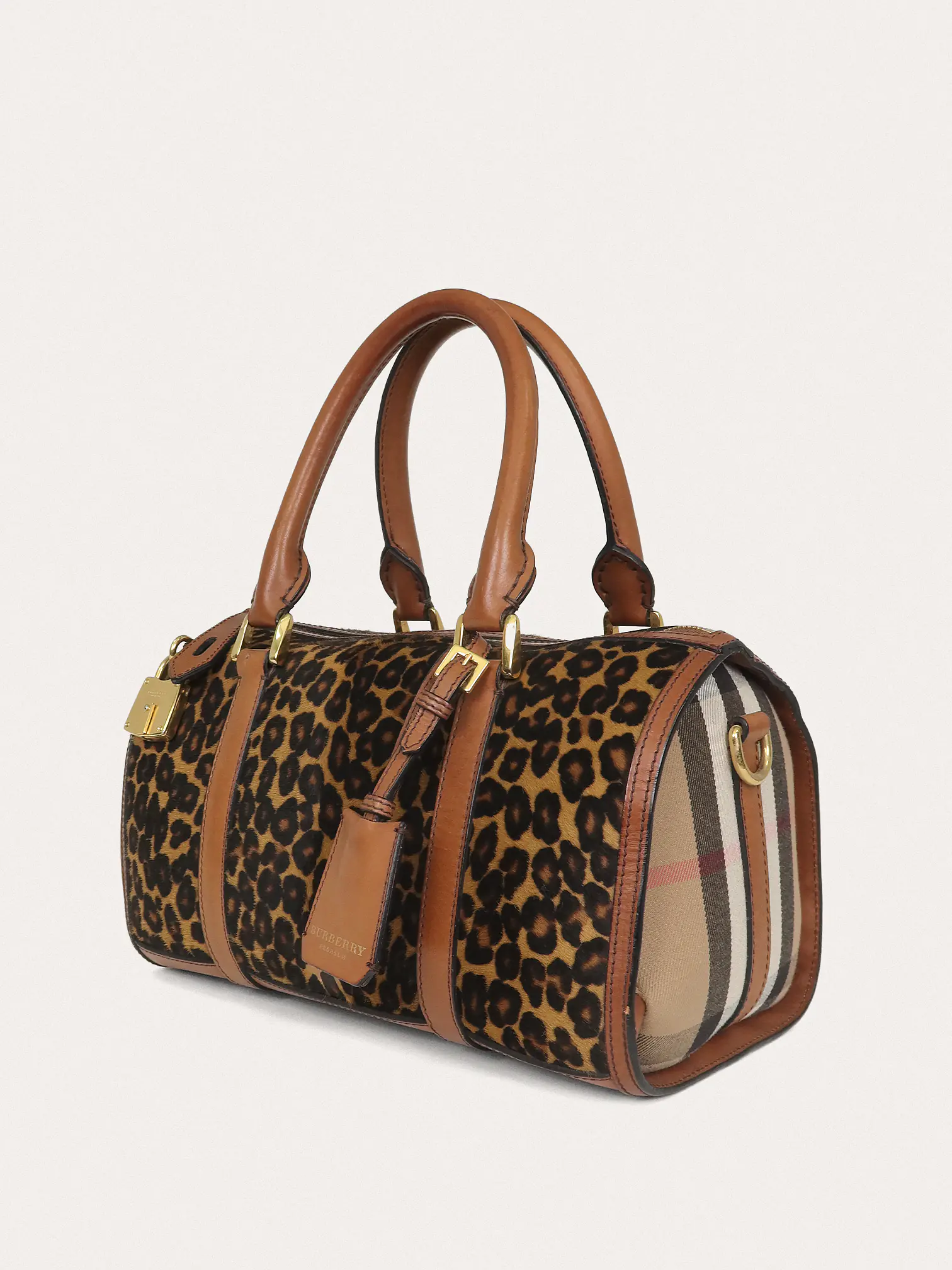 Alchester Leopard - Master