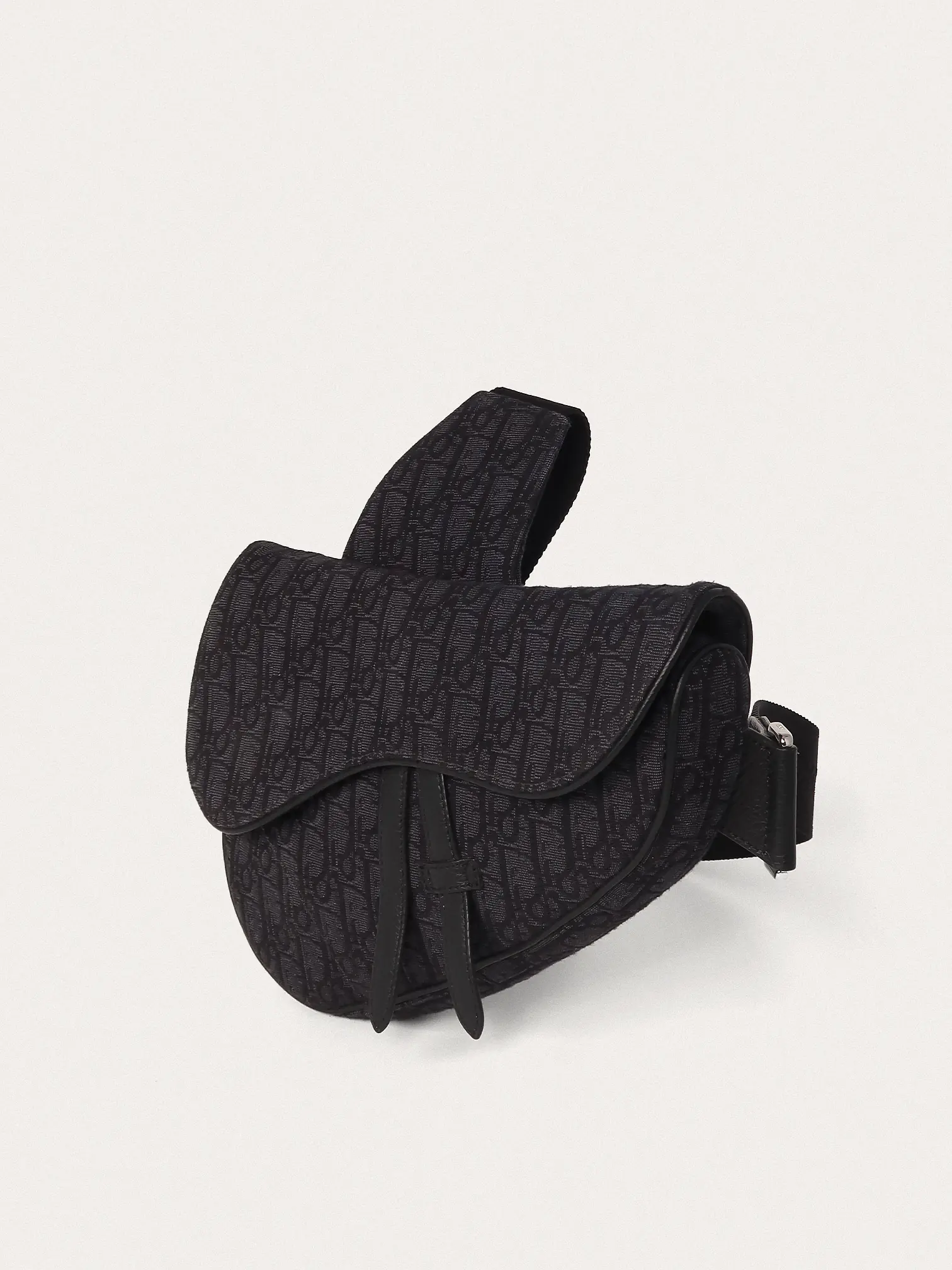 Christian Dior Saddle - Master