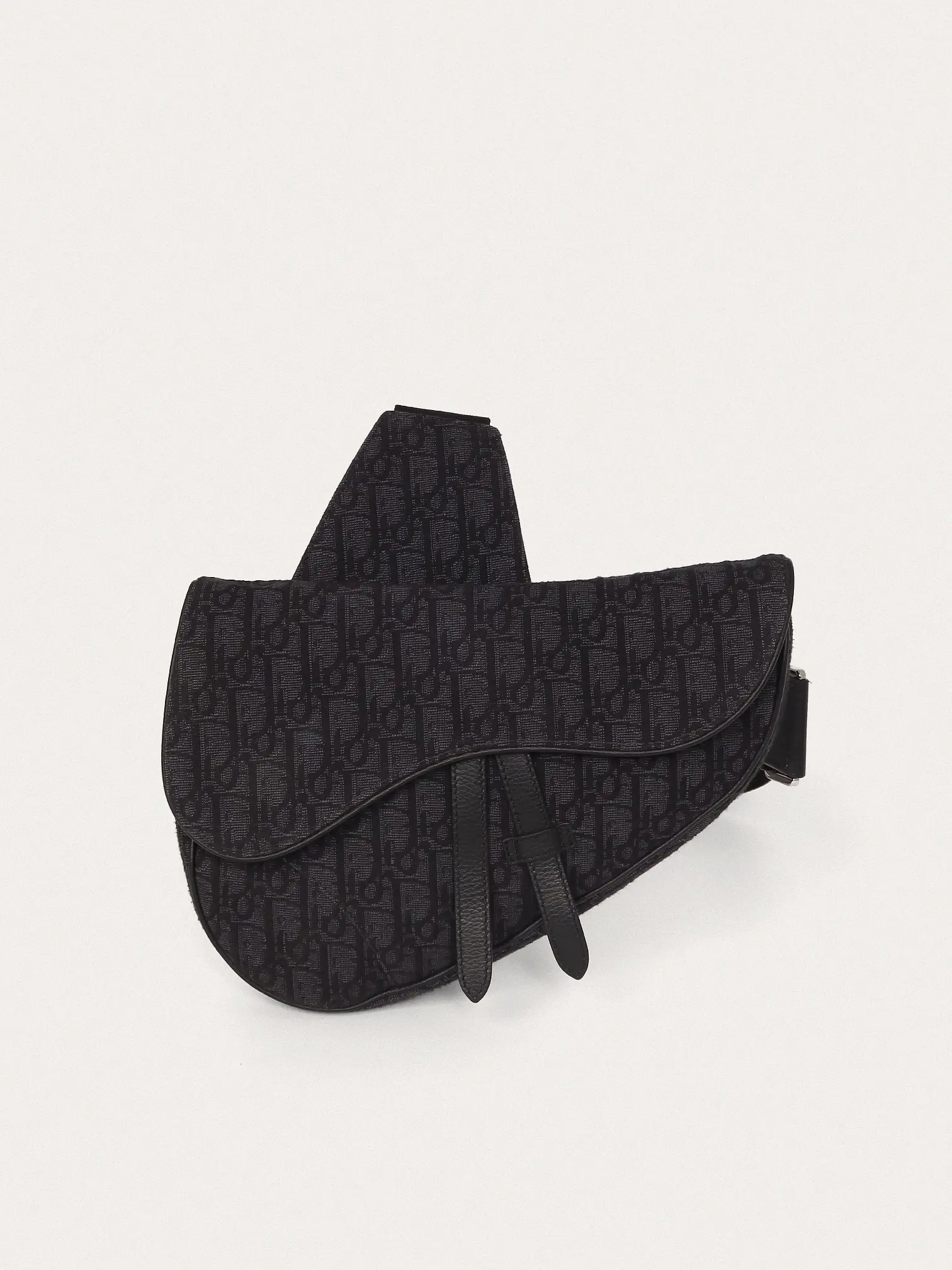 Christian Dior Saddle - Master