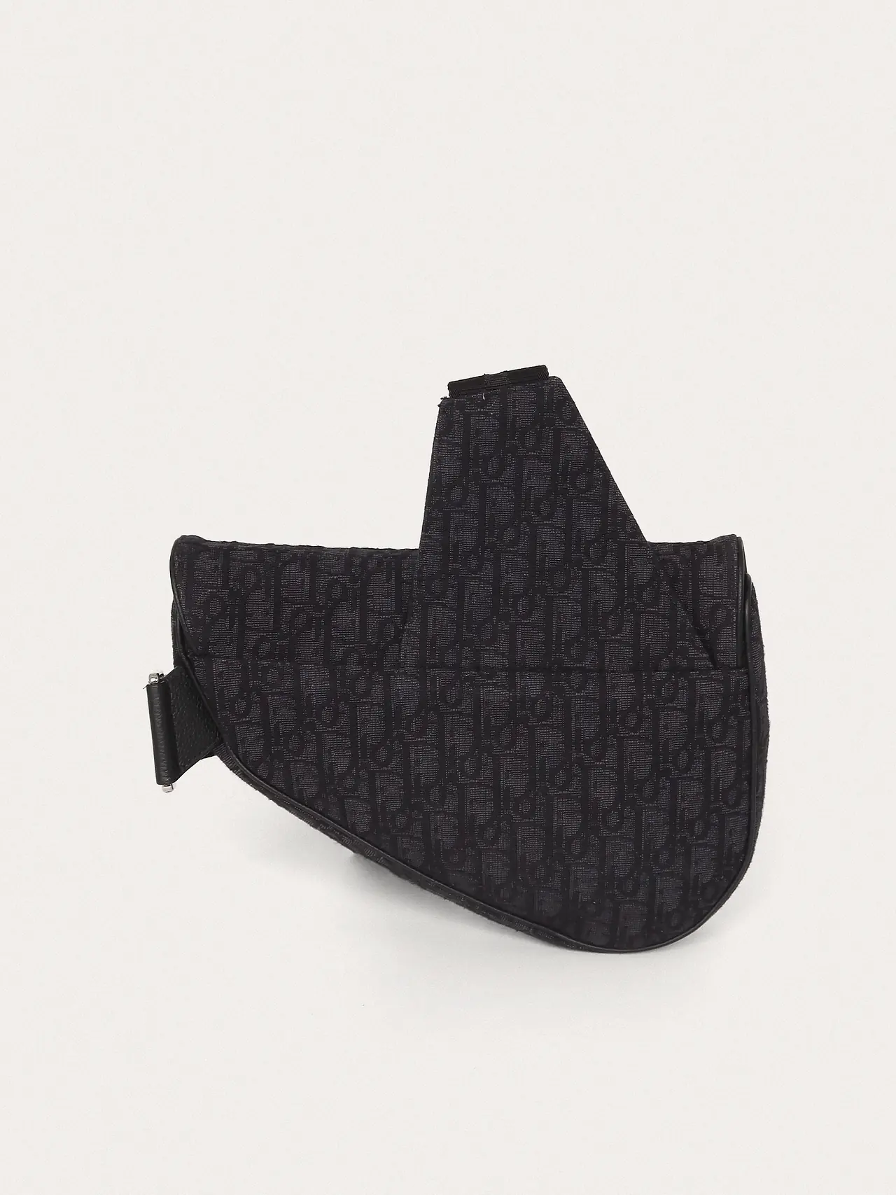 Christian Dior Saddle - Master