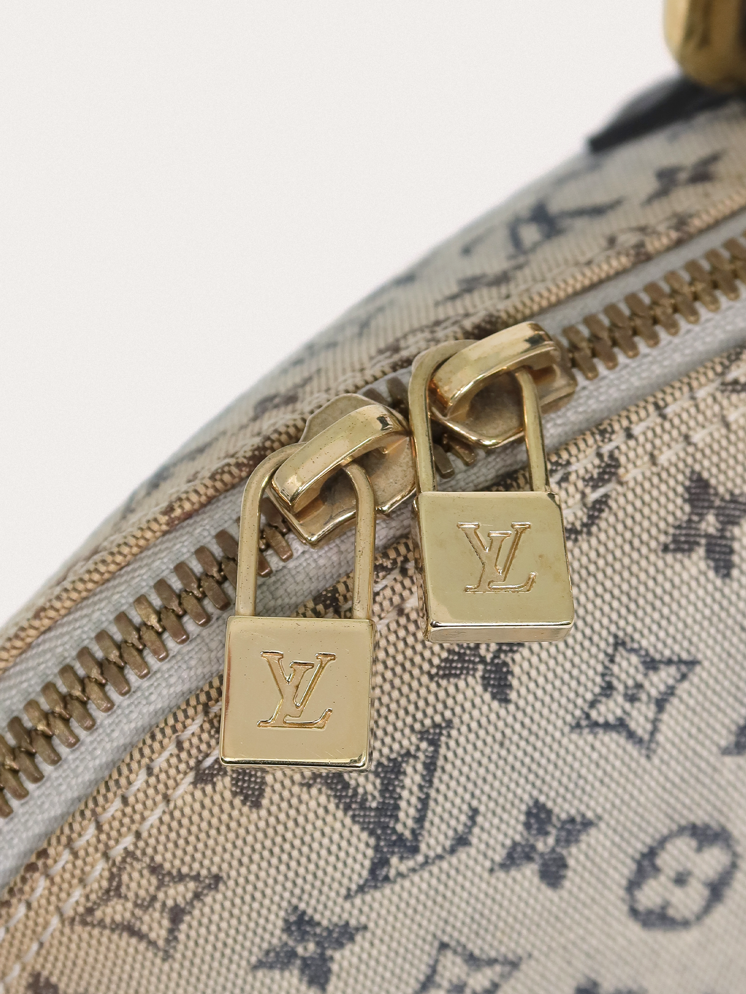 Louis Vuitton Lin Alma Long - Master