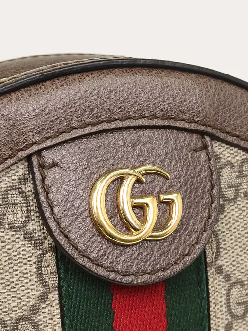 Ophidia Mini GG Round Shoulder - Master
