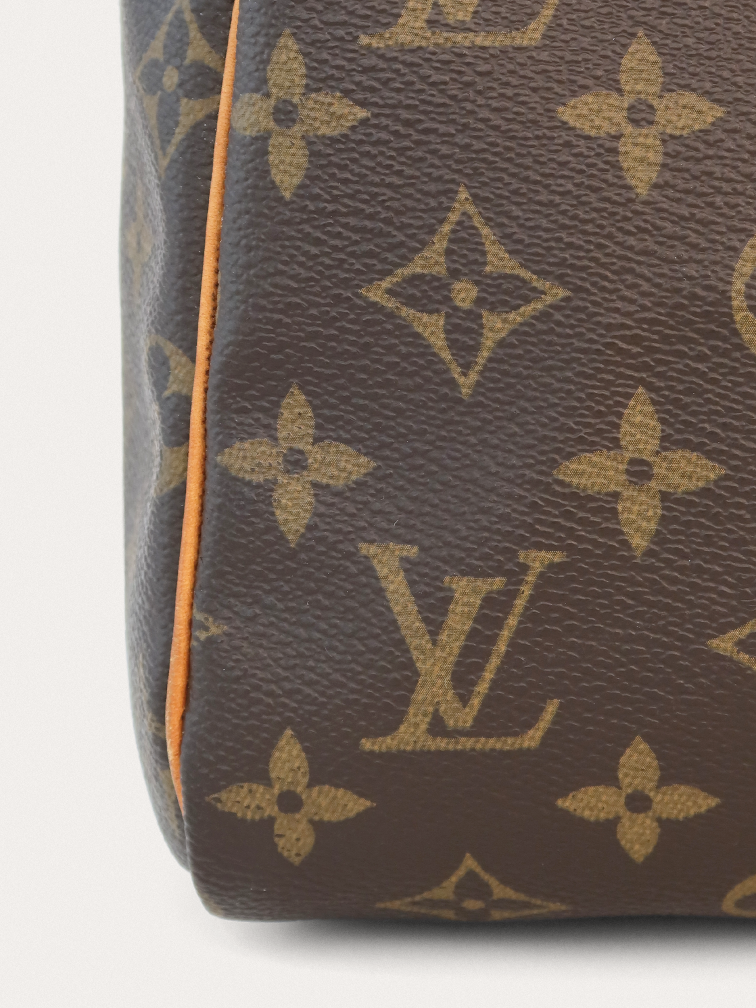 Louis Vuitton Speedy 30 - Master