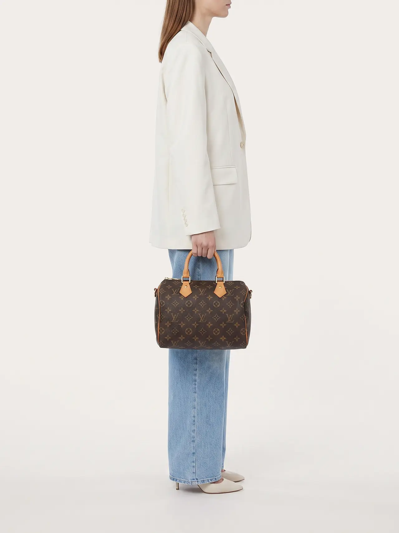 Louis Vuitton Speedy 25 - Master