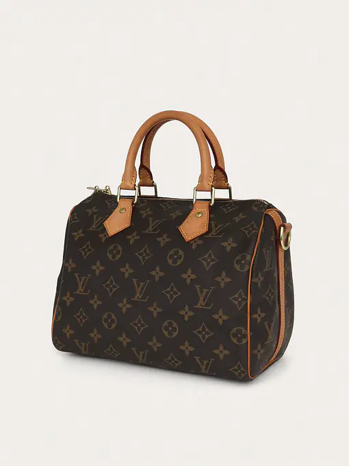 Louis Vuitton Speedy 25 - Master