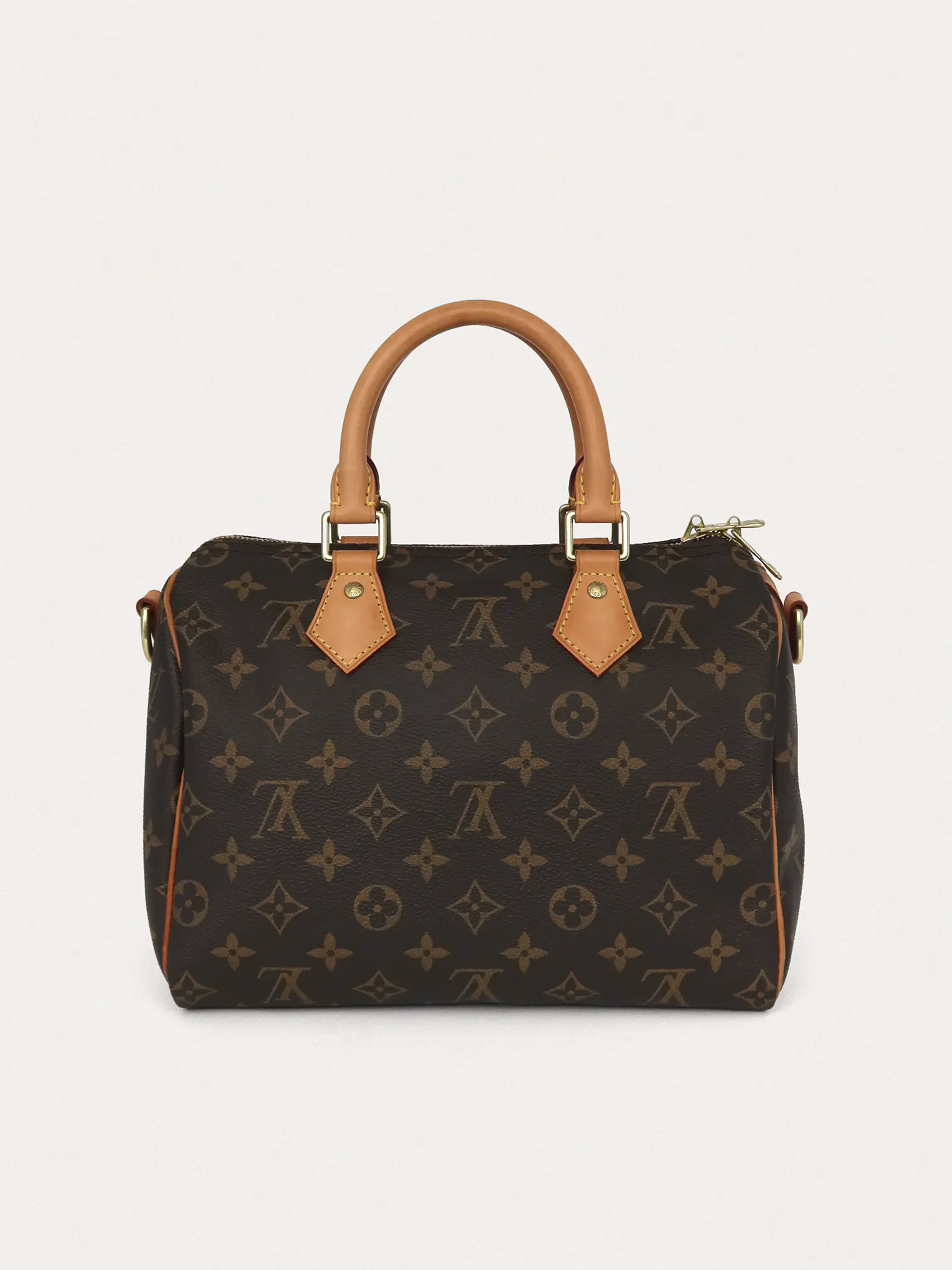 Louis Vuitton Speedy 25 - Master