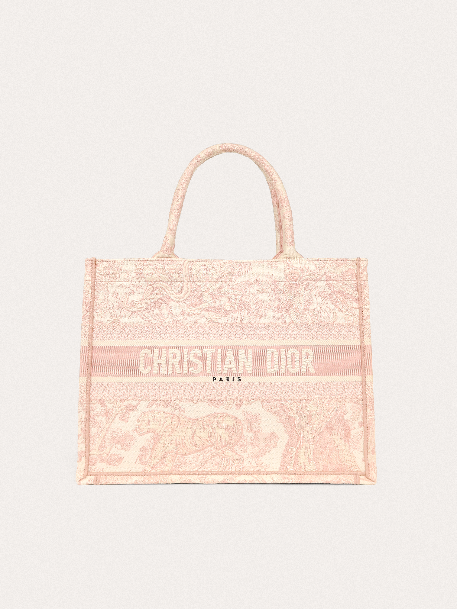Christian Dior Book Tote Small primary image