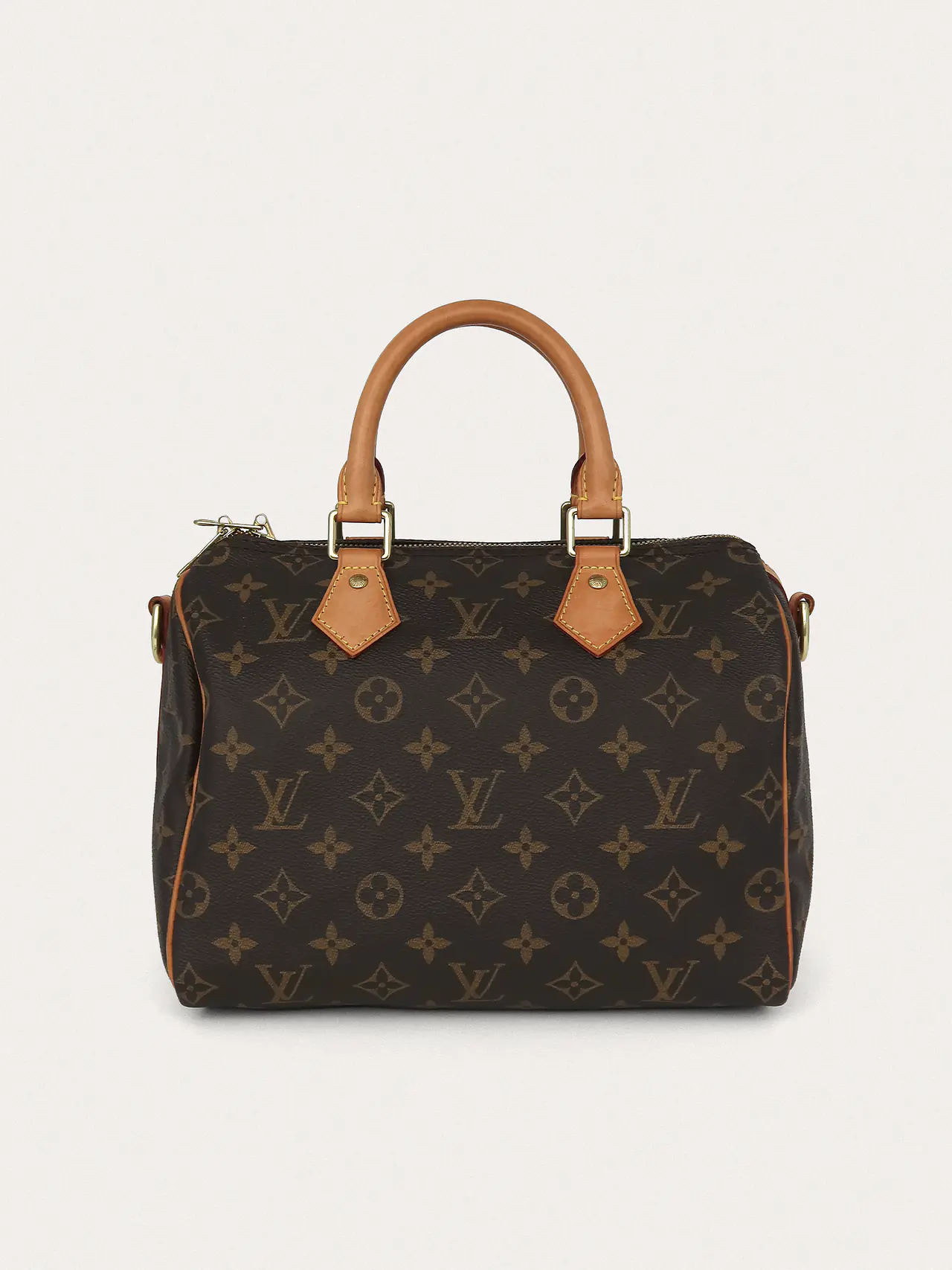 Louis Vuitton Speedy 25 - Master