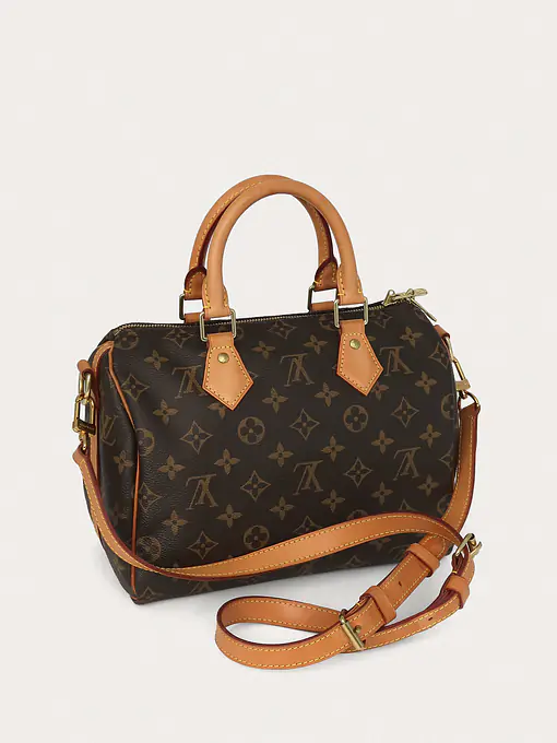 Louis Vuitton Speedy 25 - Master