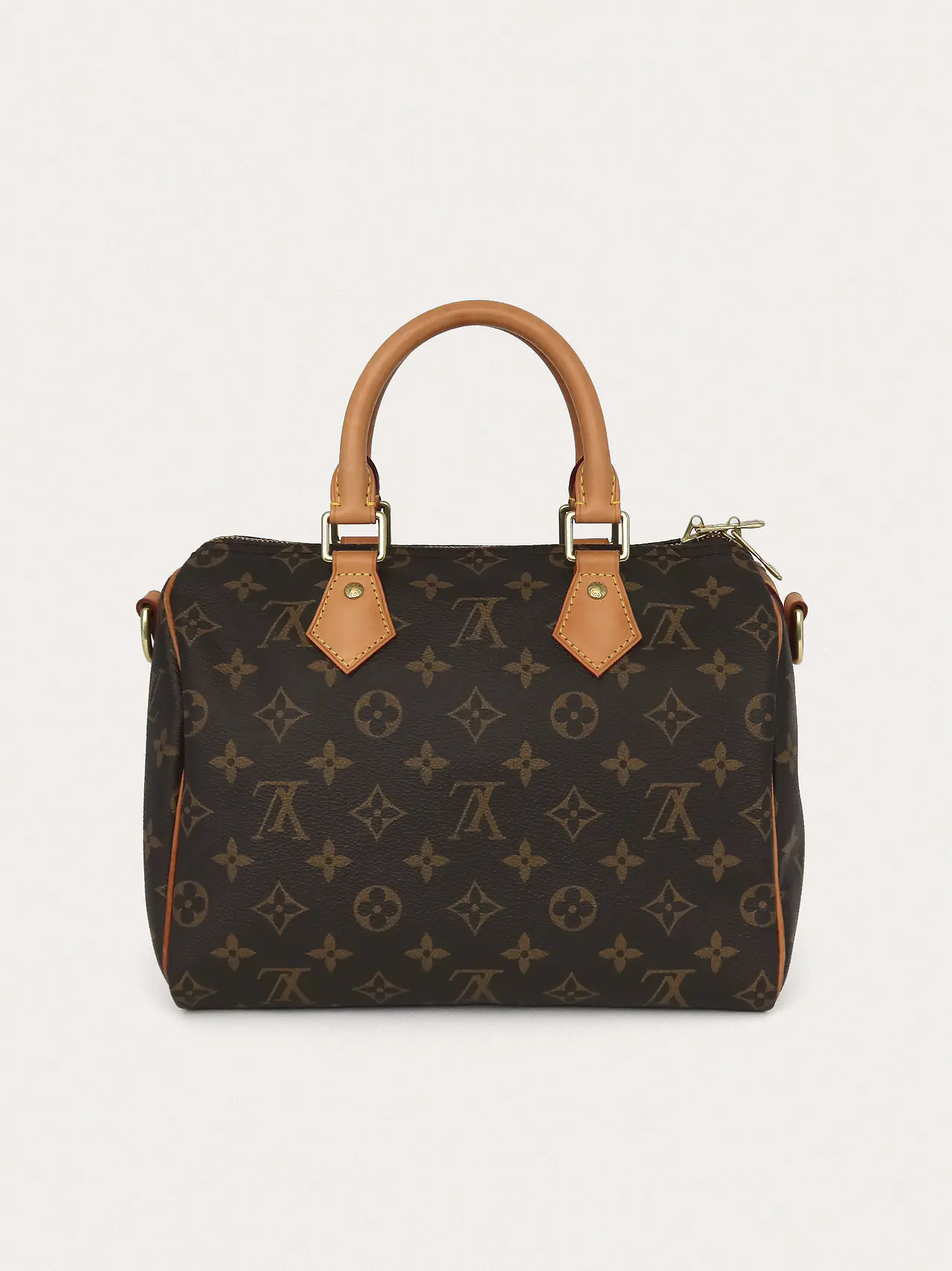 Louis Vuitton Speedy 25 - Master