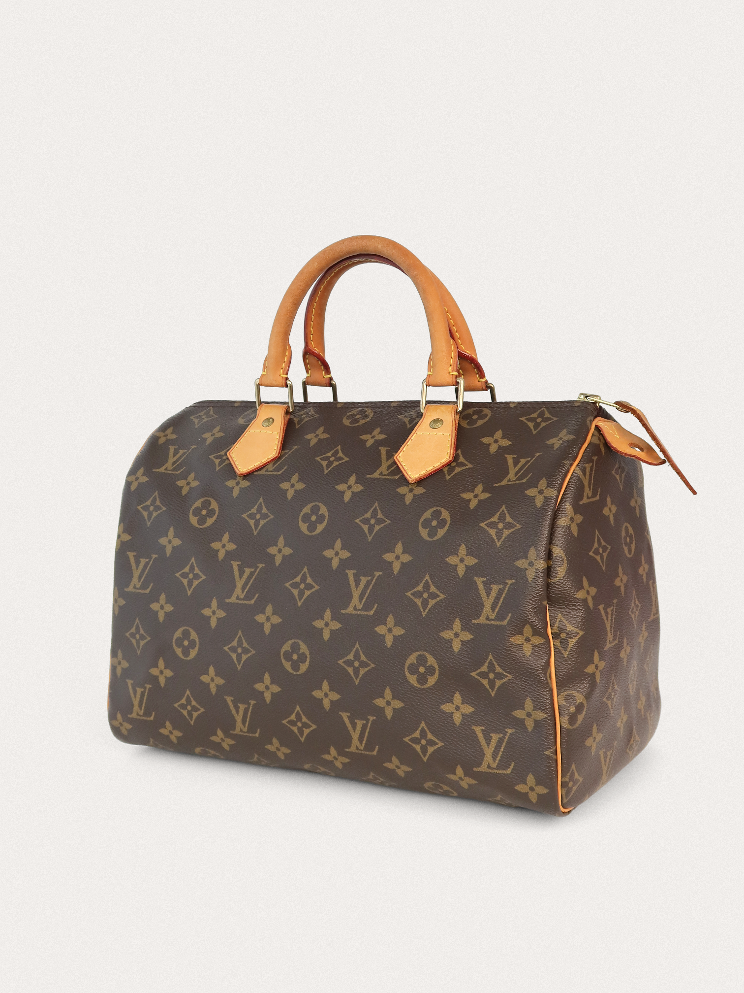 Louis Vuitton Speedy 30 - Master
