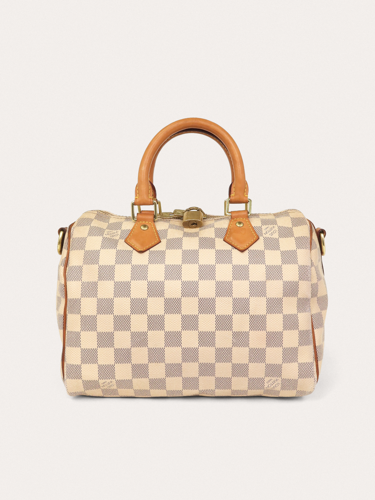 Louis Vuitton Speedy 25 - Master