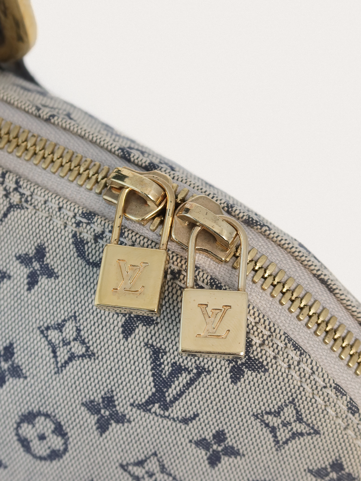 Louis Vuitton Lin Alma Long - Master