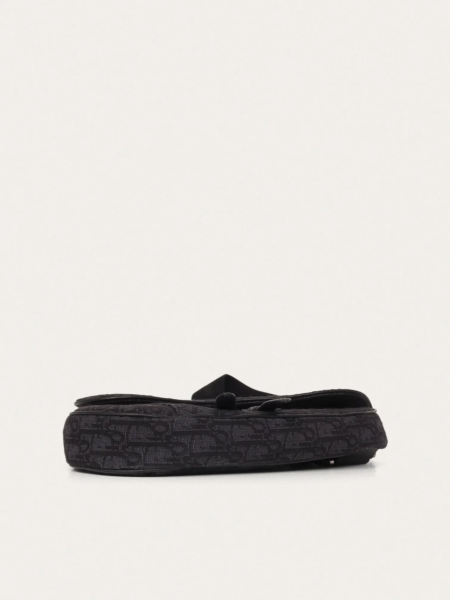 Christian Dior Saddle - Master