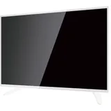 Телевизор 32" ASANO 32LH1011T white (HD, DVB-T2/C/T, HDMI, USB) (32LH1011T)