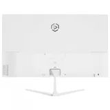 Монитор 23.8" RASKAT I24F10DAW white (IPS, 1920х1080, 178°/178°, 250cd/m2, 1000:1, 5ms, 100Hz, VGA, HDMI, DP, MM) (I24F10DAW)
