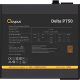 Блок питания ПК/ Power Supply Ocypus Delta P750, 750W 80+ Bronze (ATX, 3.1, Non modular, 1x24(20+4)pin, 2xCPU 8(4+4)pin, 3xPCIe*2 8(6+2)pin, 1x12V-2x6, 8xSATA3 , Active, 120x120mm, 150x140x86mm, APF