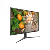 Hikvision DS-D5232F2-1V1S Монитор цветной (32")