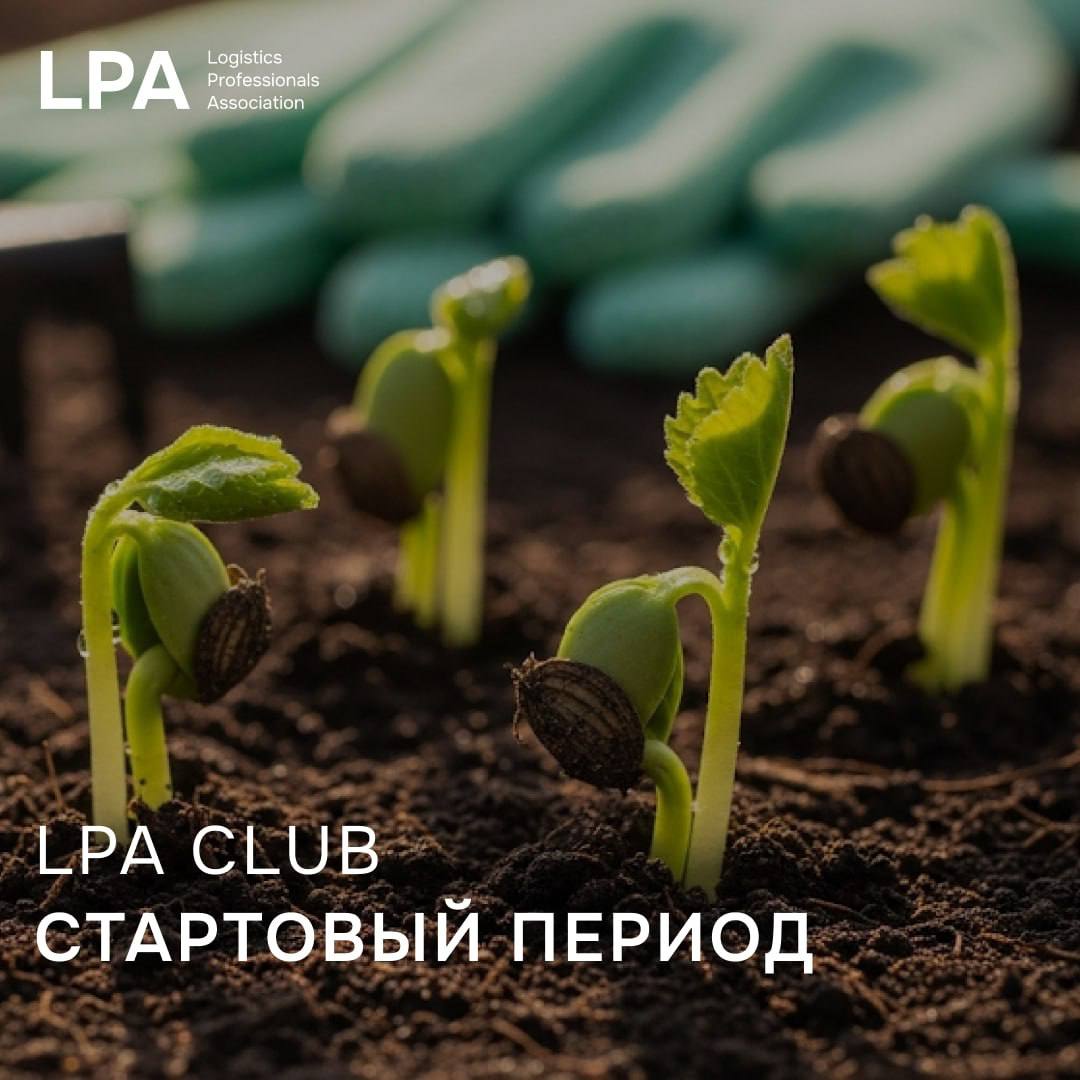 LPA Club: почему присоединяться сейчас, когда проект ещё молодой