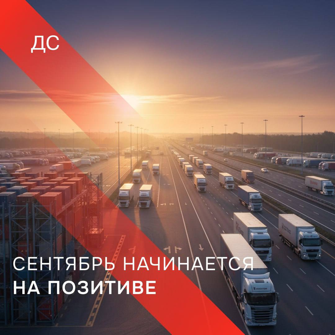 Первый день сентября: рынок растёт, торги без ставок редкость