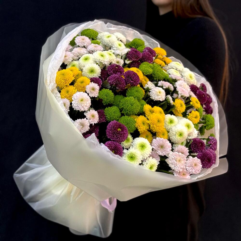 Хризантема цветная микс 25 шт (мб 238)