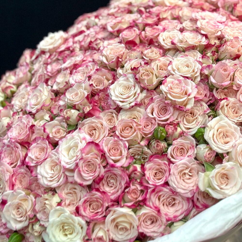 Роскошный букет 101 кустовая роза 