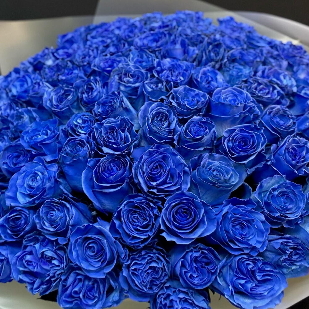 ВАУ букет 101 синяя роза 