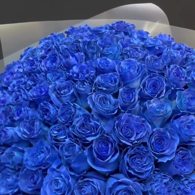 ВАУ букет 101 синяя роза 