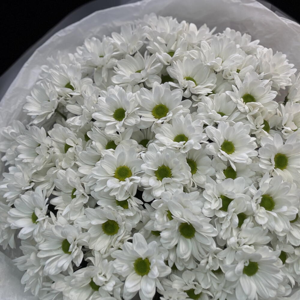 Букет из белых ромашек