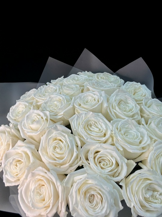 Белые пионовидные розы 25 шт