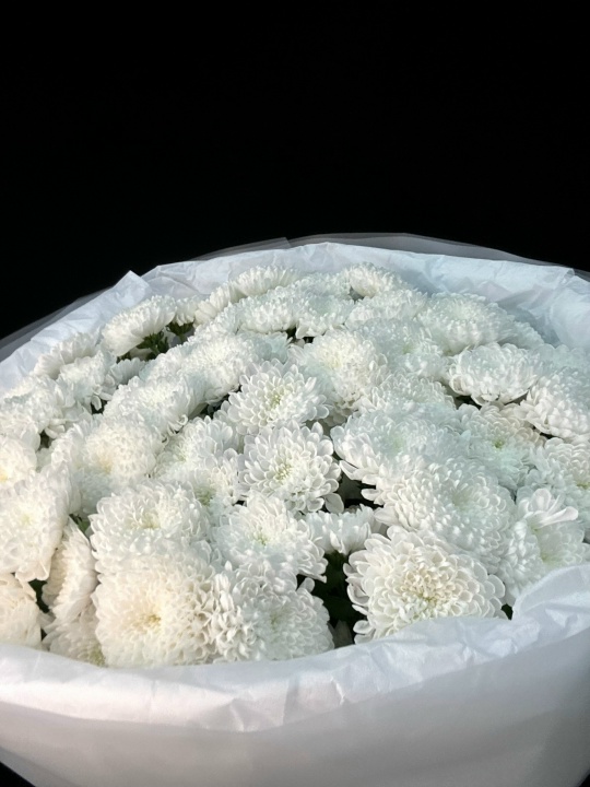 Букет махровые белые хризантемы (размер S)