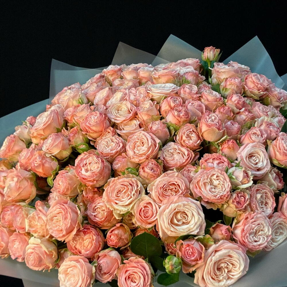 51 кустовая пион роза Бомбастик L