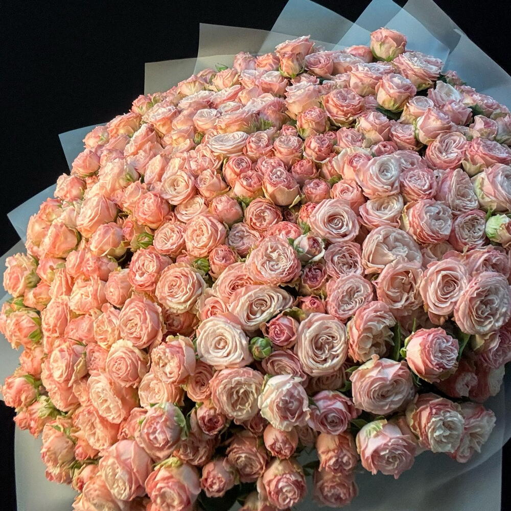 Огромный букет 101 кустовая пион роза Бомбастик 