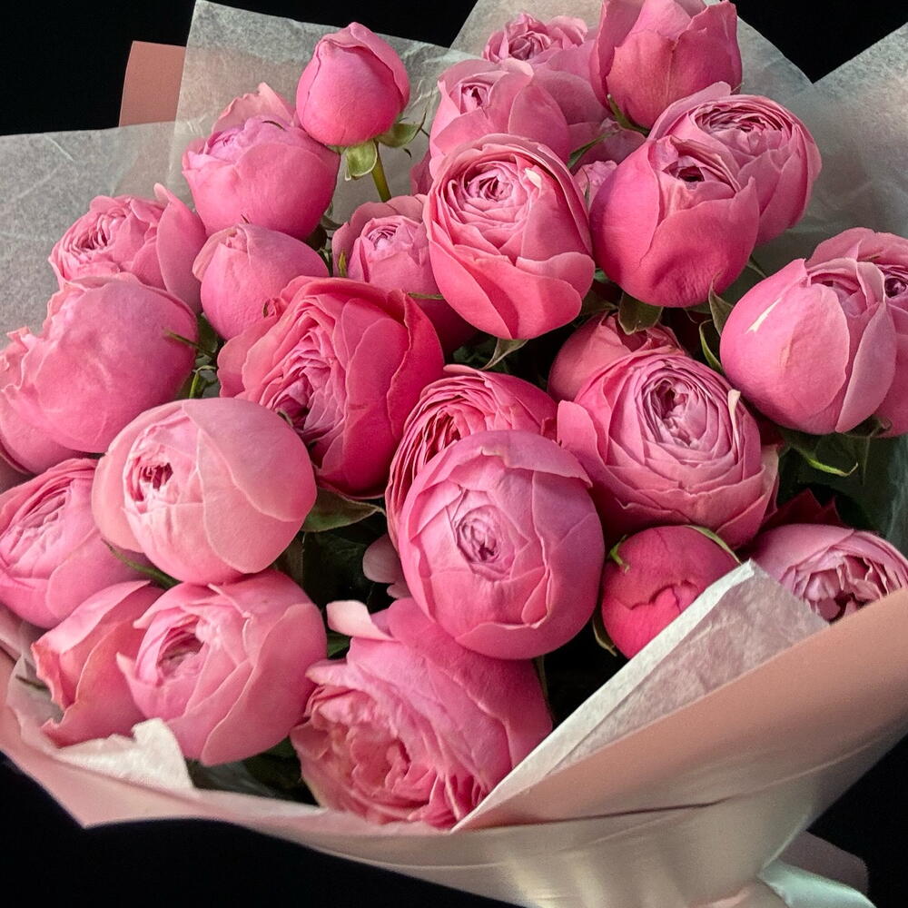 Кустовые пион розы Сильва Пинк 7 шт