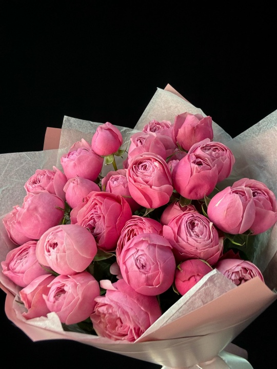 Кустовые пион розы Сильва Пинк 7 шт