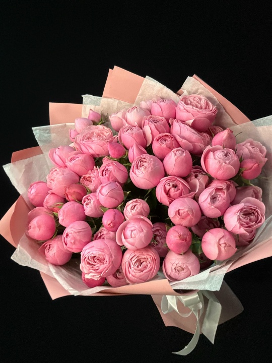 Кустовые пион розы Сильва Пинк 15 шт (мб 299)