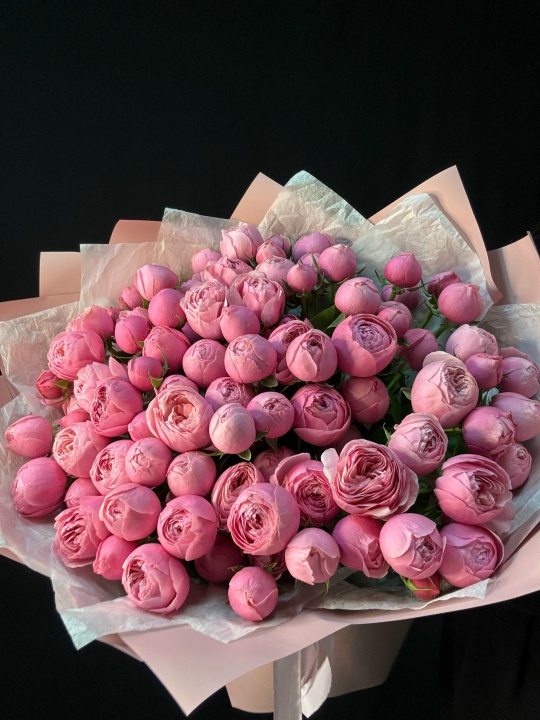   Кустовые пион розы Сильва Пинк 25 шт (мб 300)