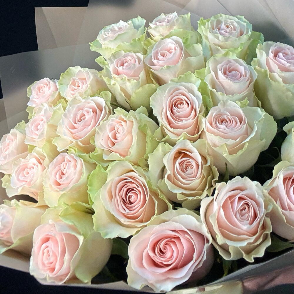 25 роз FRUTTETO (мб 302)