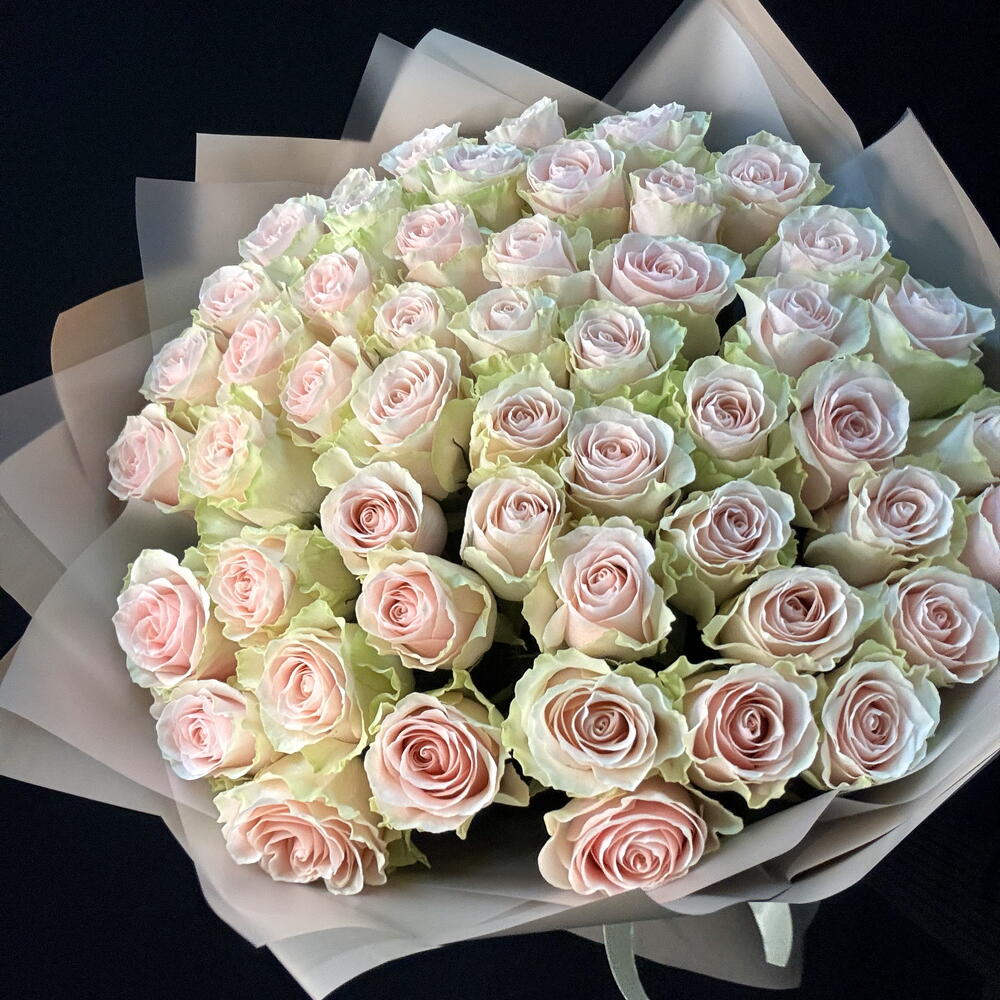 51 роза FRUTTETO (мб 303)