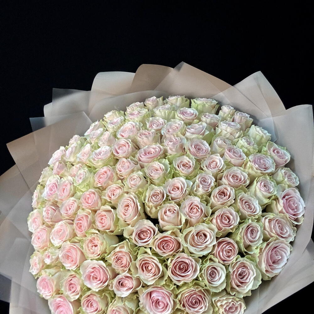 101 роза FRUTTETO (мб 304)